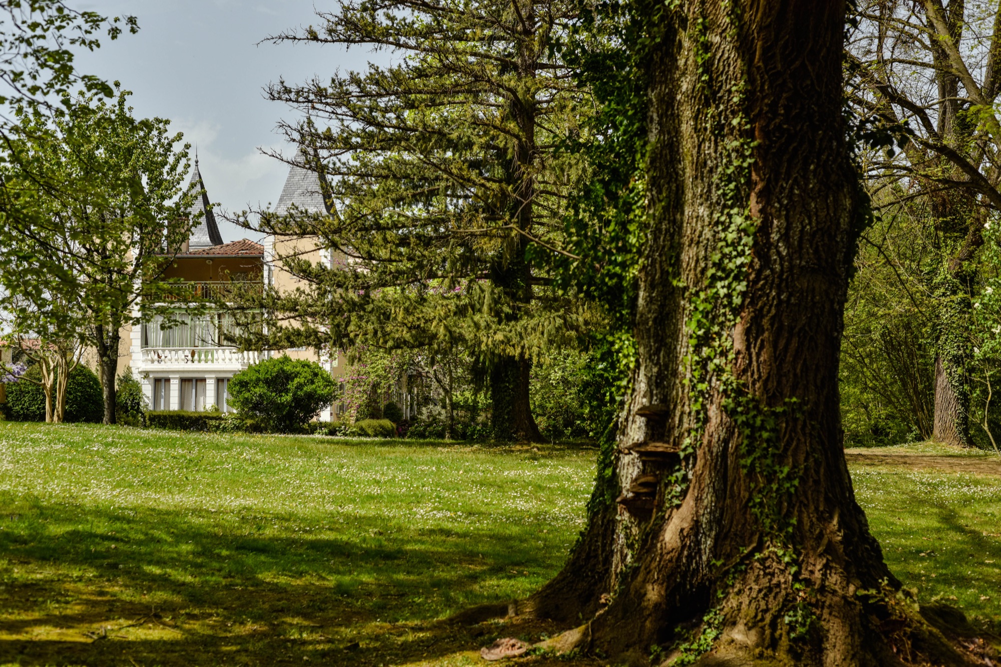 Photographie d'hébergement — château dans son parc
