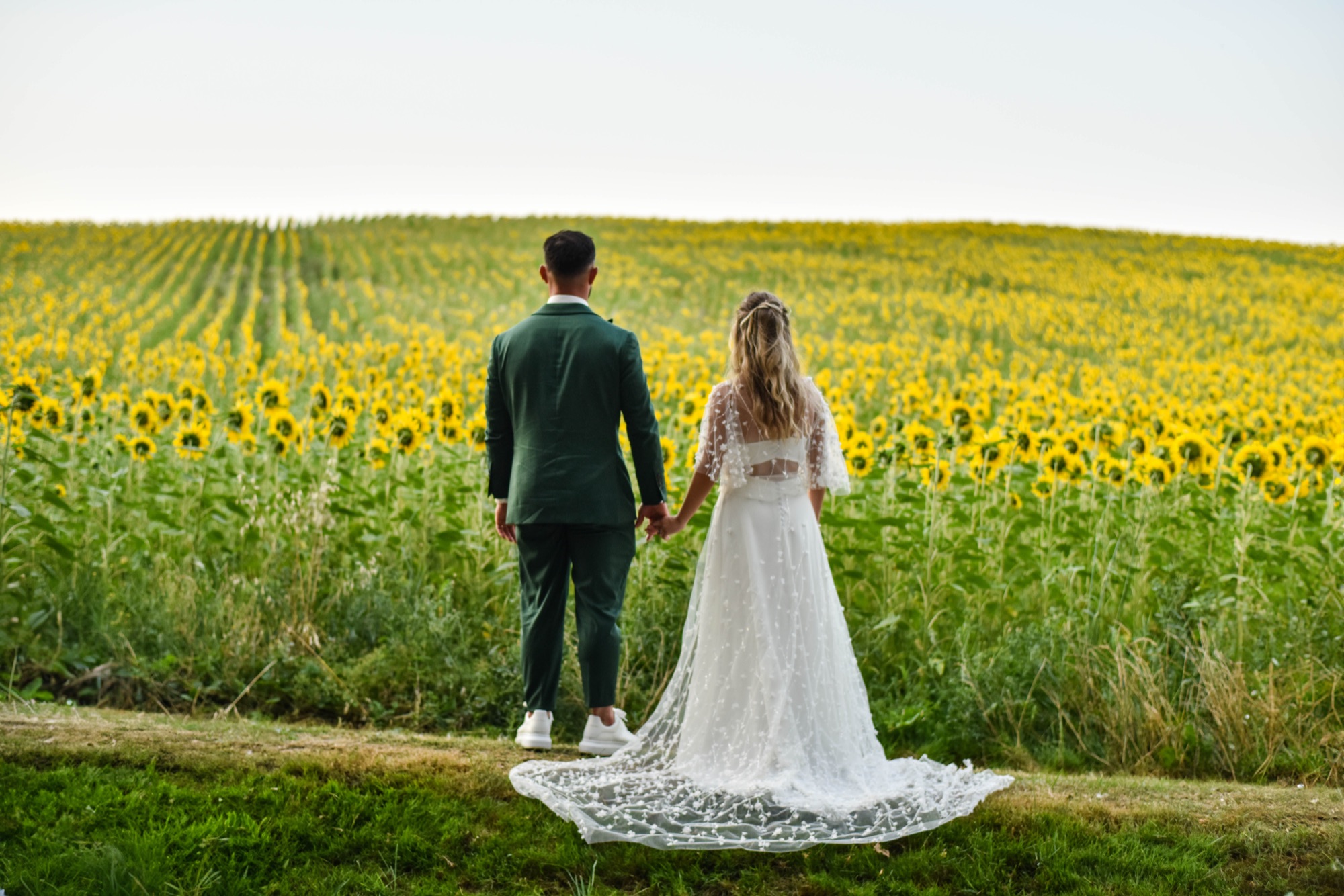 Couple de dos main dans la main devant un champ de tournesols